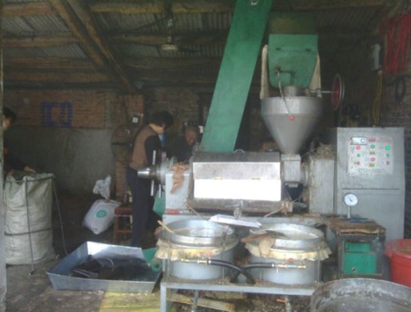 榨油機(jī)用戶訪問(wèn)：鄉(xiāng)鎮(zhèn)之間榨油坊生意如何？